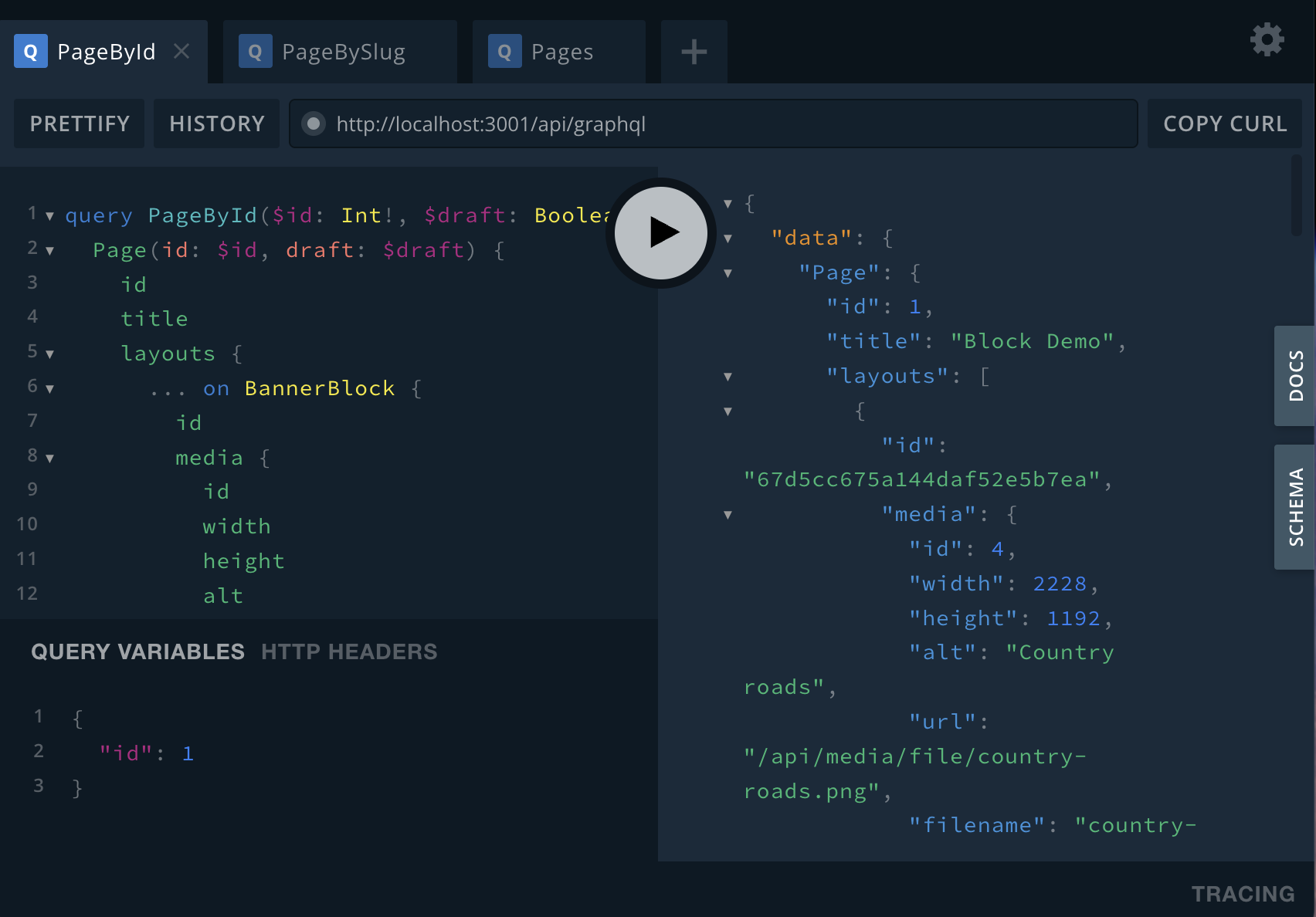 Shows Payload's graphql playground UI for testing queries